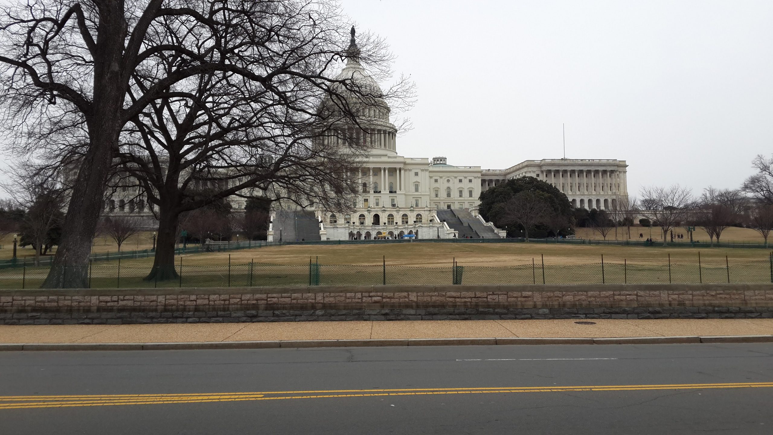 Tour a Washingon por el dia, Desde New York imagen destacada